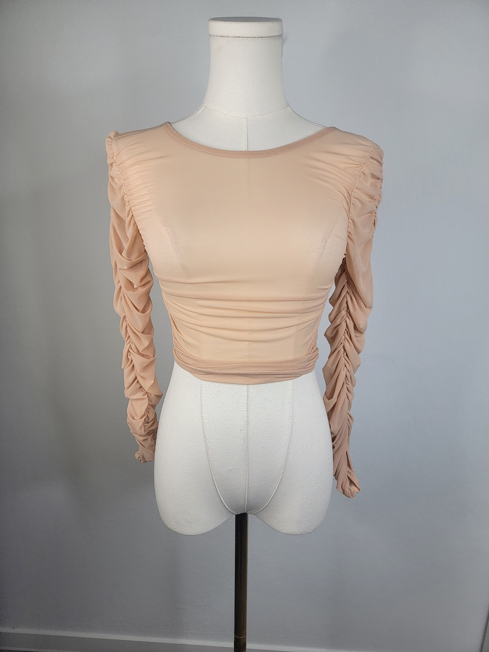 chic Sheer Ruched Long-Sleeve Crop Top in Nude Peach